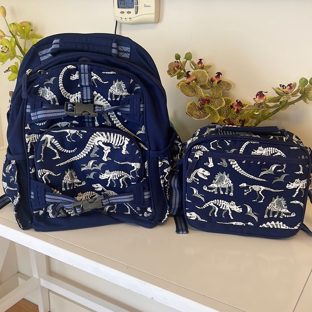 Back to School - Pottery Barn Backpack 🎒 & lunch bag set